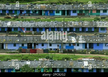 Travailleurs de plantation de thé sur une colline, Munnar, Western Ghats, Kerala, Inde Banque D'Images