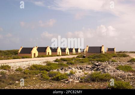 Anciens quartiers d'esclaves pour les travailleurs du sel côtier, Rincon, Bonaire, île Leeward, Petites Antilles, Antilles néerlandaises Banque D'Images