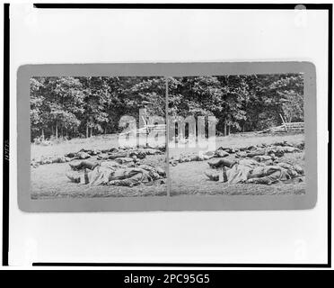 Les confédérés morts se sont rassemblés pour l'enterrement à la limite sud-ouest des rosiers, Gettysburg, Pennsylvanie, 5 juillet 1863. Collection de photographies de la guerre civile . Gettysburg, bataille de, Gettysburg, Pa, 1863, Victimes de guerre, Pennsylvanie, Gettysburg, 1860-1870, États-Unis, Histoire, Guerre civile, 1861-1865, victimes, Confédéré, Pennsylvanie, Gettysburg. Banque D'Images