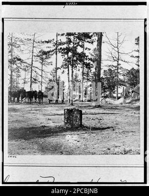 Quartiers généraux du général Birney, 2D Division, 10th corps. Collection de photographies de la guerre civile , n° 2446. Birney, David Bell, 1825-1864, Homes & Haunts, États-Unis, Armée, corps, 10th, 1860-1870, quartier général militaire, Union, 1860-1870, États-Unis, Histoire, Guerre civile, 1861-1865, installations militaires, Union. Banque D'Images