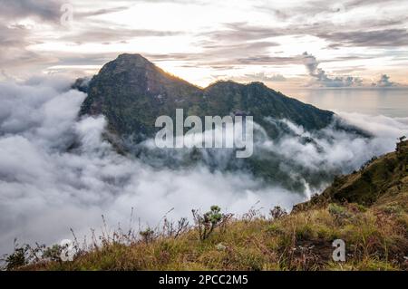 Brume du camp de Sembalun Rim sur le mont Rinjani, Lombok, Indonésie Banque D'Images