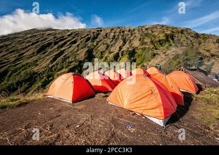 Tentes au camp de Sembalun Rim sur le mont Rinjani, Lombok, Indonésie Banque D'Images