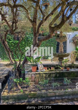 Beau jardin décoré avec une fontaine en pierre. Banque D'Images