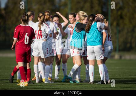 Belgrade, Serbie, 12 mars 2023. Les joueurs de Denamrk célèbrent la victoire lors du match entre la Serbie U17 v Danemark U17 au Centre sportif de FA de Serbie - pitch 1 à Stara Pazova, Serbie. 12 mars 2023. Crédit : Nikola Krstic/Alay Banque D'Images