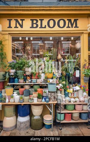 À Bloom, Columbia Street - Une boutique florists traditionnelle située à Bethnal Green. Le marché aux fleurs de Columbia Road se trouve à côté de Hackney Road, dans le Th Banque D'Images