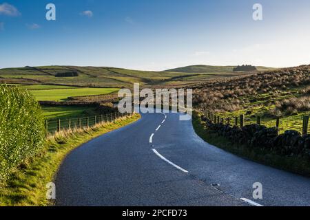 Une route pavée pittoresque serpentant à travers les collines verdoyantes et les champs de la campagne paisible de l'Irlande du Nord Banque D'Images