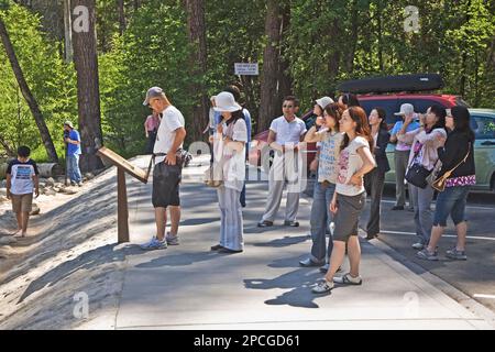 Parc national de Yosemite, États-Unis - 22 juillet 2008 : les gens apprécient la vallée de yosemite par une visite guidée en bus. Banque D'Images