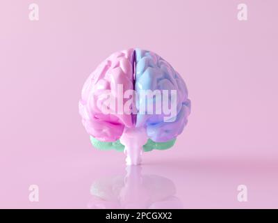 Fractionnement réaliste du cerveau sur les lobes colorés (pièces). 3D illustration du rendu du cerveau en vue de face avec un matériau de ballon isolé sur une couche rose pastel Banque D'Images