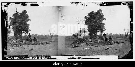 Vue sur le champ de bataille d'Antietam. Photographies de guerre civile, 1861-1865 . États-Unis, Histoire, Guerre civile, 1861-1865. Banque D'Images
