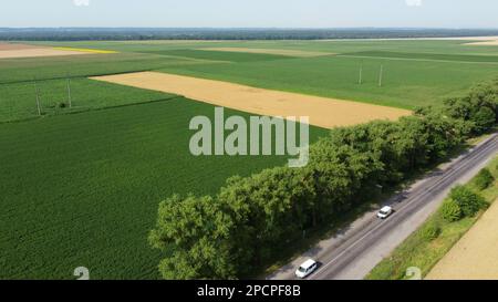 Champs agricoles. Champs agricoles jaunes et verts avec blé mûr et autres cultures différentes. Vue aérienne de drone. Récolte de terres agraires. Culture cultures agricoles. Banque D'Images