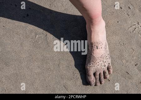 Un pied de sable sur la plage jette une ombre. Banque D'Images