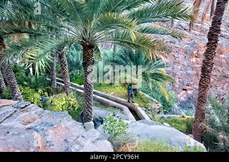 Travailleur sur le falaj (aflaj : les anciens canaux d'irrigation omanais), Misfat Al Abriyeen, Oman Banque D'Images