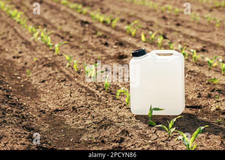 Canister blanc vierge d'herbicide dans le champ de semis de maïs au coucher du soleil de printemps, foyer sélectif Banque D'Images