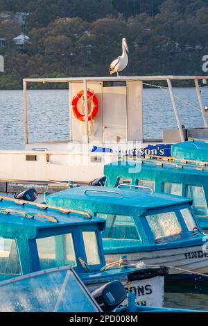 Location de bateaux à la moitié d'une cabine à Andersons Location de bateaux près d'Ettalong Beach sur Brisbane Waters, sur la côte centrale de la Nouvelle-Galles du Sud, en Australie Banque D'Images