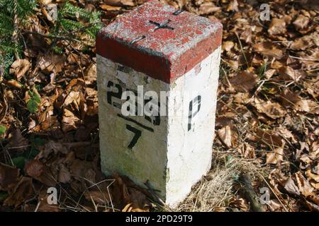 Pôle de la frontière nationale dans les montagnes sur un sentier de randonnée à Krynica Zdroj Banque D'Images