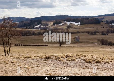 vue sur l'alimentation du bétail sur les collines en hiver Banque D'Images