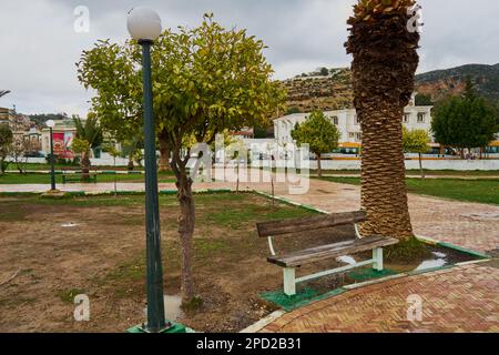 Streetlamp à côté des arbres dans un parc public par temps pluvieux Banque D'Images