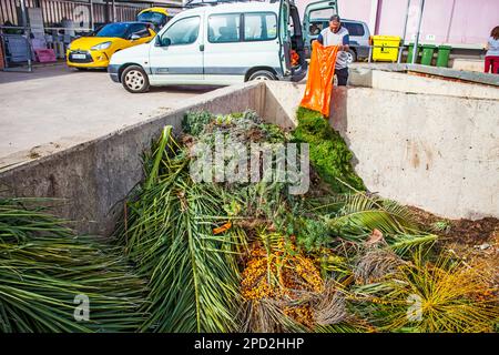 Homme qui élimine les déchets de jardin dans un centre de recyclage. Banque D'Images