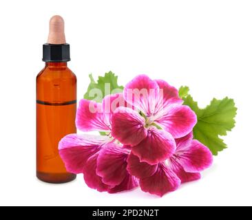 Fleurs de géranium avec bouteille avec essence isolée sur fond blanc Banque D'Images