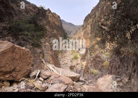 Vue à travers la Naqad Gulley, Jabal Ffied, région d'Al-Shalat en Jordanie, Moyen-Orient Banque D'Images