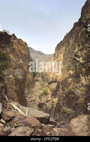 Vue à travers la Naqad Gulley, Jabal Ffied, région d'Al-Shalat en Jordanie, Moyen-Orient Banque D'Images