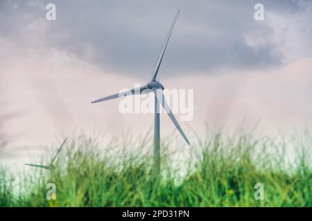 co Wexford, Irlande : vue imprenable sur le parc éolien de Ballywater situé entre les villages de Kilmuckridge et Ballygarrett. Banque D'Images