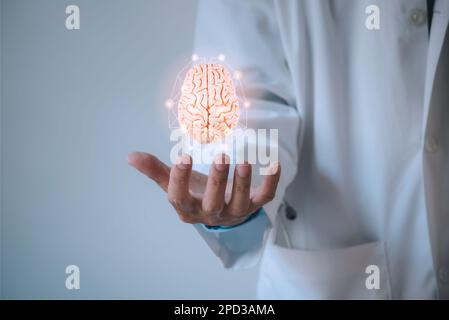 Médecin montrant le modèle du cerveau humain. Concept de technologie médicale. Banque D'Images