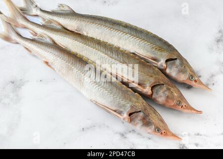 Avant la cuisson, pêchez trois morceaux de sterlet crus sur un fond clair Banque D'Images