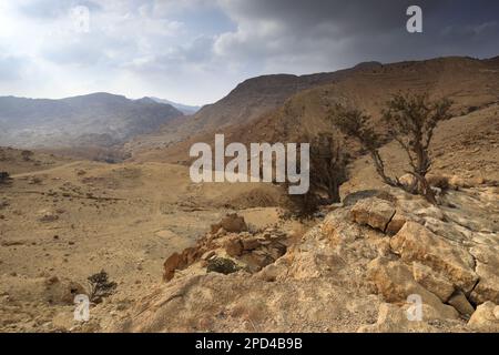 Vue sur le paysage de grès de Reis al Fed, Wadi Feid, Jordanie, Moyen-Orient Banque D'Images