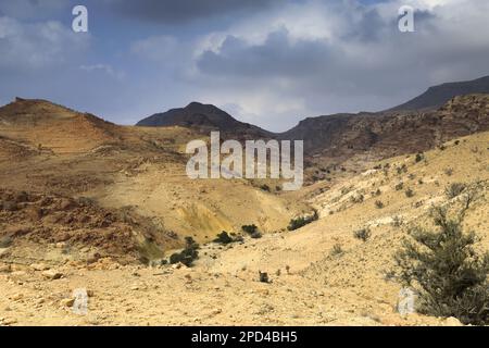 Vue sur le paysage de grès de Reis al Fed, Wadi Feid, Jordanie, Moyen-Orient Banque D'Images