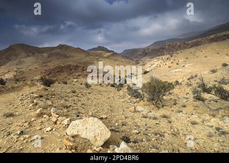 Vue sur le paysage de grès de Reis al Fed, Wadi Feid, Jordanie, Moyen-Orient Banque D'Images