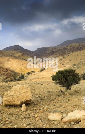 Vue sur le paysage de grès de Reis al Fed, Wadi Feid, Jordanie, Moyen-Orient Banque D'Images