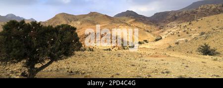 Vue sur le paysage de grès de Reis al Fed, Wadi Feid, Jordanie, Moyen-Orient Banque D'Images