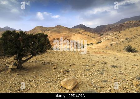 Vue sur le paysage de grès de Reis al Fed, Wadi Feid, Jordanie, Moyen-Orient Banque D'Images