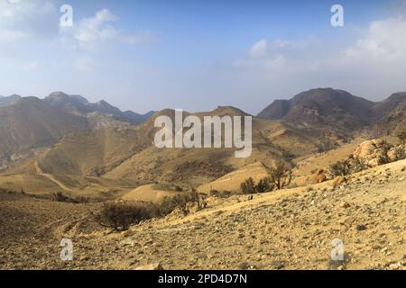 Vue sur le paysage de grès de Reis al Fed, Wadi Feid, Jordanie, Moyen-Orient Banque D'Images