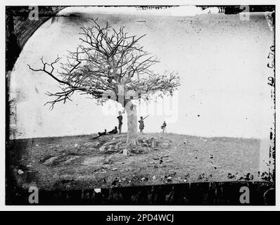 Antietam, Maryland. Une tombe solitaire. Photographies de guerre civile, 1861-1865 . États-Unis, Histoire, Guerre civile, 1861-1865. Banque D'Images