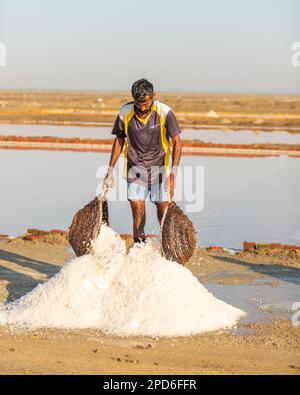 Bhambore Sindh Pakistan 2022, Labour collectant et empilant du sel de mer dans les champs tôt le matin, Bhambhore également connu sous le nom de Bhanbhore Banque D'Images