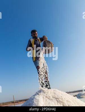 Bhambore Sindh Pakistan 2022, Labour collectant et empilant du sel de mer dans les champs tôt le matin, Bhambhore également connu sous le nom de Bhanbhore Banque D'Images