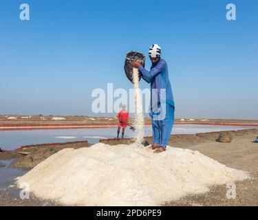 Bhambore Sindh Pakistan 2022, Labour collectant et empilant du sel de mer dans les champs tôt le matin, Bhambhore également connu sous le nom de Bhanbhore Banque D'Images