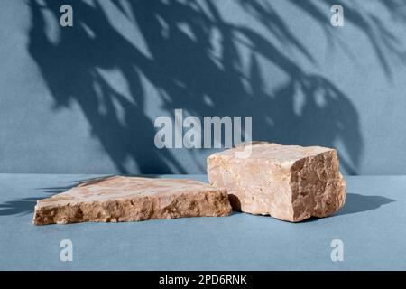 Podium avec herbe sèche pour la promotion des produits et l'exposition de cosmétiques. Socle de beauté beige naturel. Contexte de la présentation du produit. Gousse en pierre crème Banque D'Images