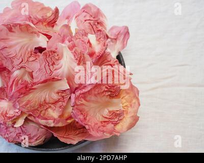 Gros plan de la salade rose crinkly feuilles de radicchio / chicorée Rosa Del Veneto, entière, dans un bol sur une nappe blanche, avec l'espace de copie sur la droite Banque D'Images