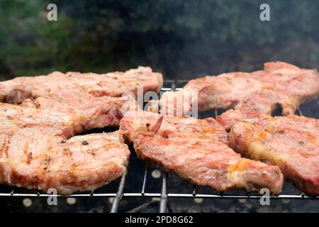 Le shashlik à la viande, également connu sous le nom de kebab au shish, est grillé sur un grill au charbon de bois. Des tranches de viande sur des brochettes en acier sont en gros plan. Délicieux plat traditionnel de viande de race blanche. Photo de haute qualité Banque D'Images