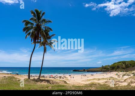 Île de Pâques, Chili - 5 mars 2023 : vue sur la plage d'Anakena sur l'île de Pâques (Rapa Nui), Chili. Anakena est la plus grande plage de sable de Rapa Nui Banque D'Images