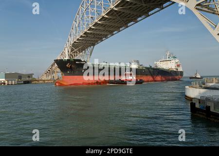 Huile chimique Tanker 'sea Tiger' passant sous le pont du port de Corpus Christi, guide pilote, tugboats assistant, Corpus Christi, Texas, Banque D'Images
