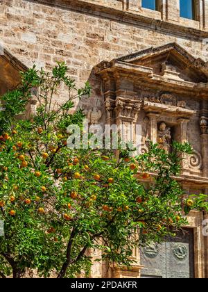 Orange arbre croissant dans les rues du centre historique de Valence, Espagne, Europe Banque D'Images