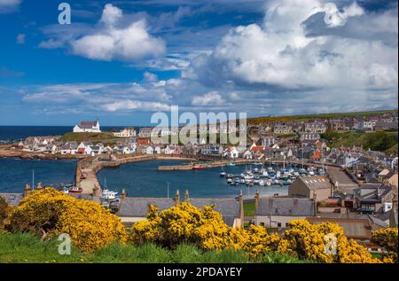 Vue au printemps du port de Findochty sur le Moray Firth, Moray, Écosse, royaume-Uni Banque D'Images