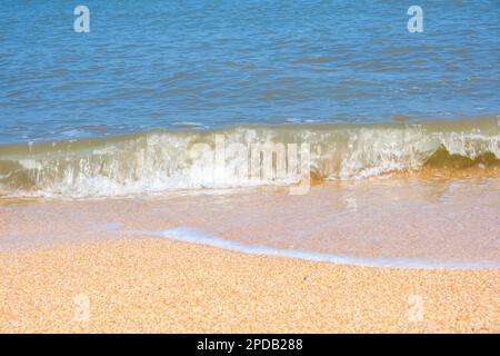 La côte de la mer d'Azov. Les vagues de la mer roulent sur le rivage sablonneux. Plage de sable de Seashell. Banque D'Images