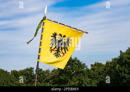 Armoiries autrichiennes Habsbourg drapeau historique jaune Banque D'Images