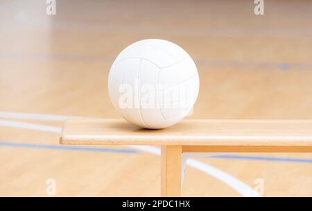 Volley-ball dans une leçon d'éducation physique. Affiche sur le thème du sport horizontal, cartes de vœux, en-têtes, site Web et application Banque D'Images