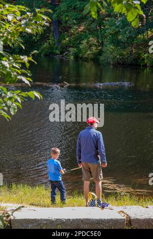 New Hampshire, Allenstown, parc national de Bear Brook, Banque D'Images